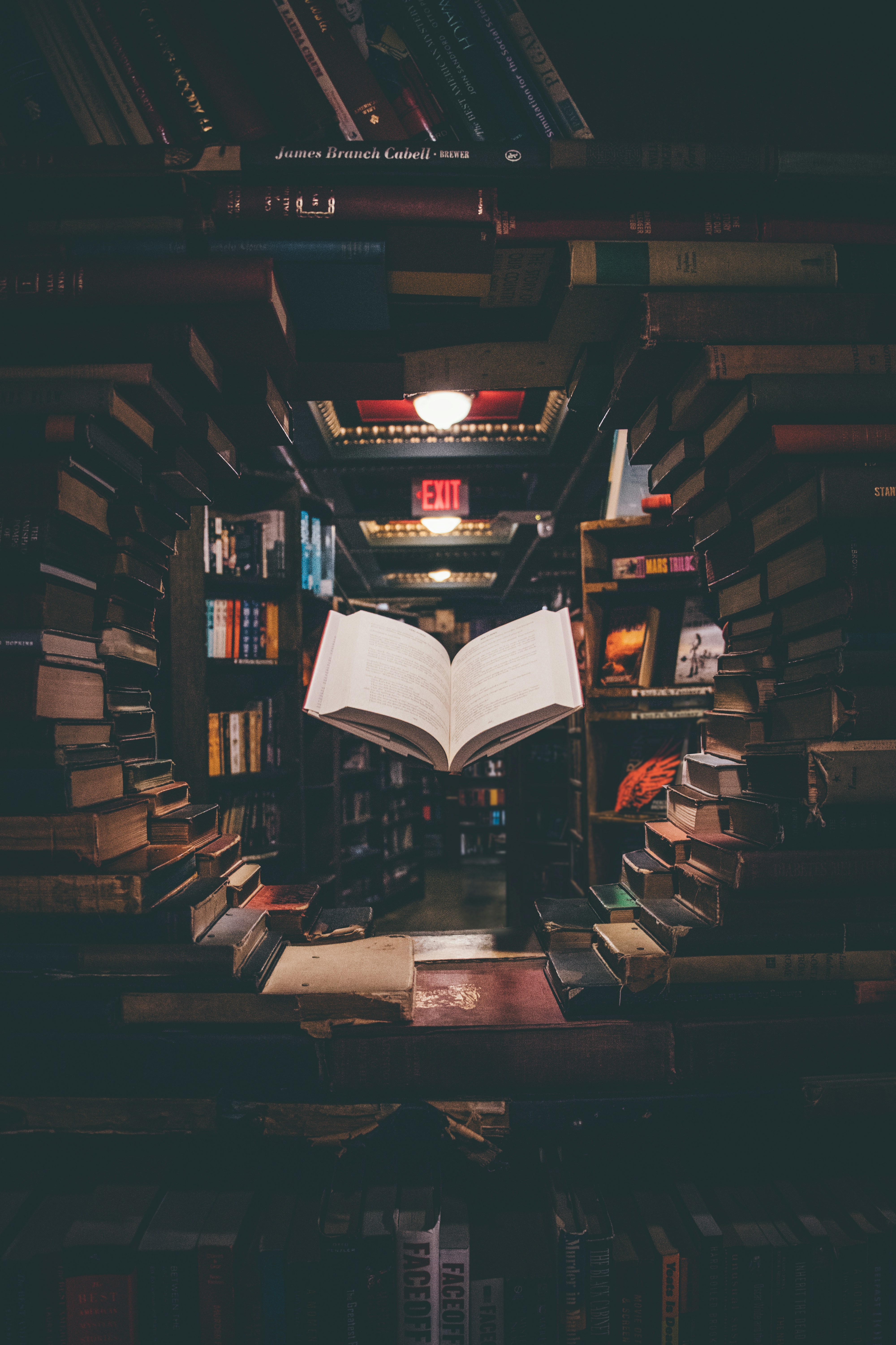 AI document search